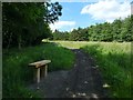 Path and bench in Garscadden Wood