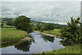 The River Ribble above Sawley