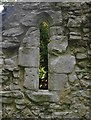 The ruined church at Treyford: external view of a window