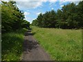 Path through Garscadden Wood