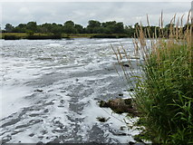 SK4631 : River Trent near Sawley Weir by Mat Fascione