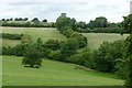 Looking over Parkside Brook