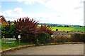 Burgis Close, Cheddleton (looking out towards Ipstones)