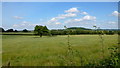 Pasture land in the Leadon valley