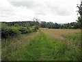 NY9071 : Bridleway west of Leazes Head by Andrew Curtis