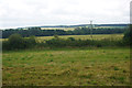 Cotswold fields and hedgerows