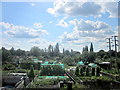 Romsey Allotment Gardens