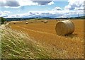 Wheat field straw bales, near Hitchin