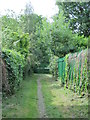 Path from Wightman Road, N8, towards the New River