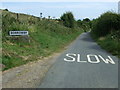 Entering Borrowby