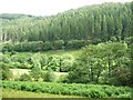 The valley of Afon Dulas, looking east