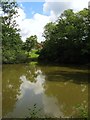 Pond, Rowhill Lane