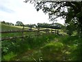 Entrance to sheep pasture, north of Llettyllwyd