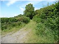 Public bridleway to Braich Garw