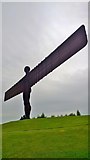 NZ2657 : Angel of the North by Steven Haslington