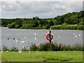 NZ2889 : Lakeside  at  Queen  Elizabeth  II  Country  Park  (2) by Martin Dawes