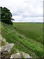 NY7868 : North  from  Housesteads  Roman  Fort by Martin Dawes