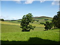 View into Glenbuchat