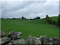 Farmland, Green Houses