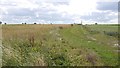 Arable land, Ellerdine Heath