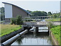 The New River north of Chadwell Lane, N8