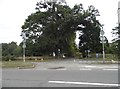 Crossing on Guildford Road, Bagshot