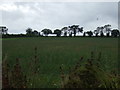 TL9586 : Farmland north of Back Lane, Bridgham by JThomas