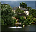 Rowers on the River Trent