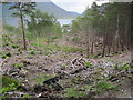 Toward Upper Loch Torridon