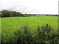 Derrynavogy Townland