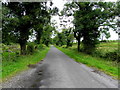 Road at Derrynavogy