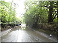 Flood on Westwood Road