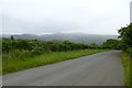 Road towards Llanbedr