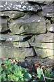 Benchmark on wall on west side of A685 south of Tebay