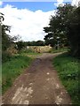 Bridleway towards Geddington Chase