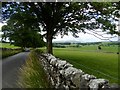 The road from Eshton to Airton