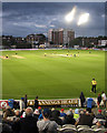 TQ2905 : Hove: one-day floodlit cricket by John Sutton