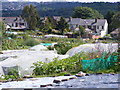 Allotment View