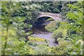 Park Bridge, Carolside Estate