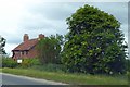 House and hedges by A61 at Kendal View