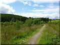 Path near Doune of Invernochty