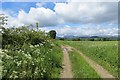 Road to Dalpatrick