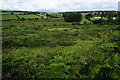 View towards Riddon