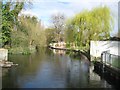 Colne Brook at Hythe End