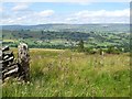 Looking into Bishopdale