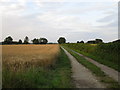 Farm track off Scagglethorpe Lane