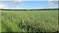 NN9623 : Strathearn arable land by Richard Webb
