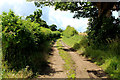 Bridleway leading to Burton Grange