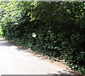 Traffic visibility mirror alongside Back Road, Catbrook