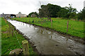 Slurry-filled track near South Greenhead Farm